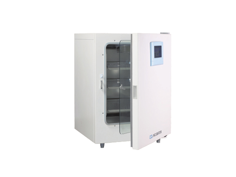 1620870812740113.jpg 1620870812740113.jpg